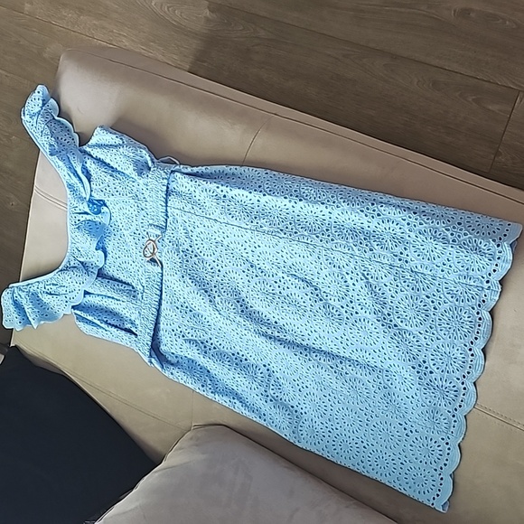 NWT Lilly Pulitzer Ryann Shift in Frenchie Blue Kaleidoscope Eyelet - Picture 8 of 14